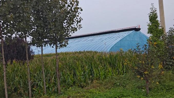 人民法院案例库案例精神：未足额补偿强制使用土地应确认违法并予以赔偿